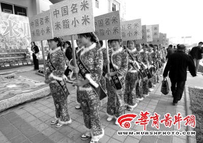 米脂婆姨推销米脂小米　德国人演讲陕西话翻译